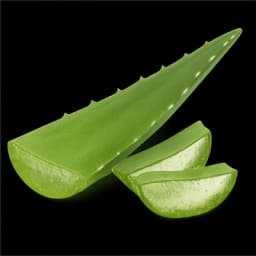 ALOE VERA POWDER